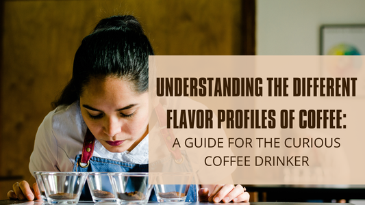 Understanding the Different Flavor Profiles of Coffee: A Guide for the Curious Coffee Drinker