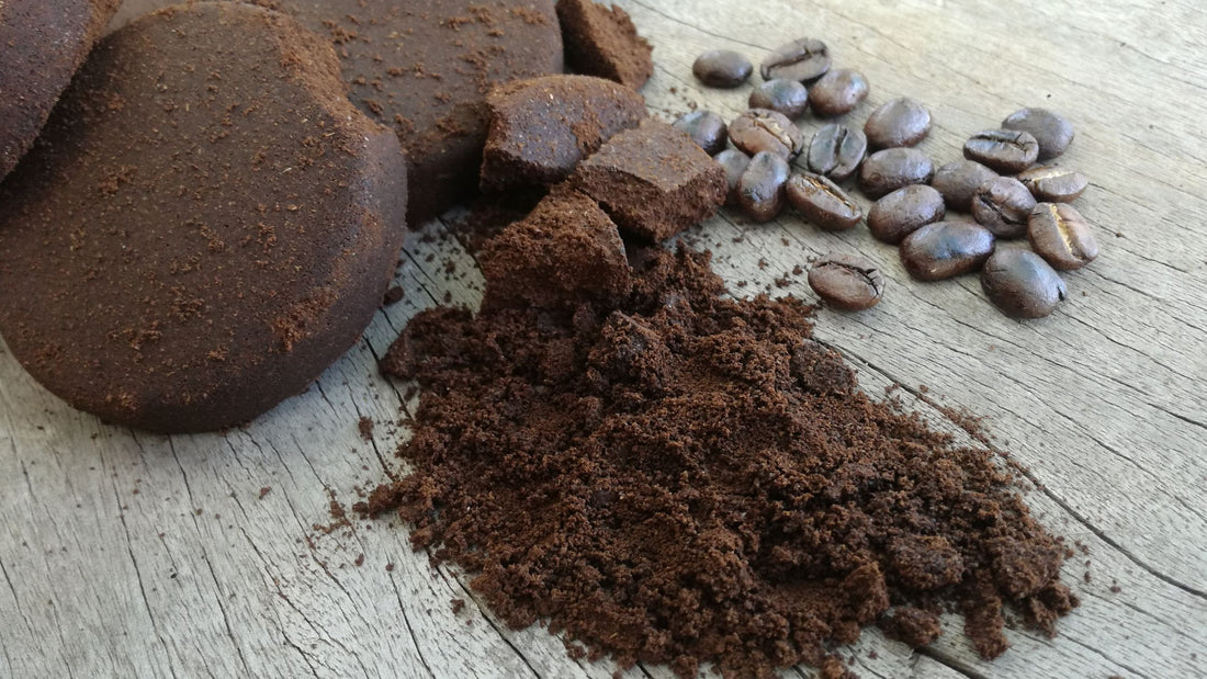 Unlocking the Potential of Coffee Grounds: Used and Unused