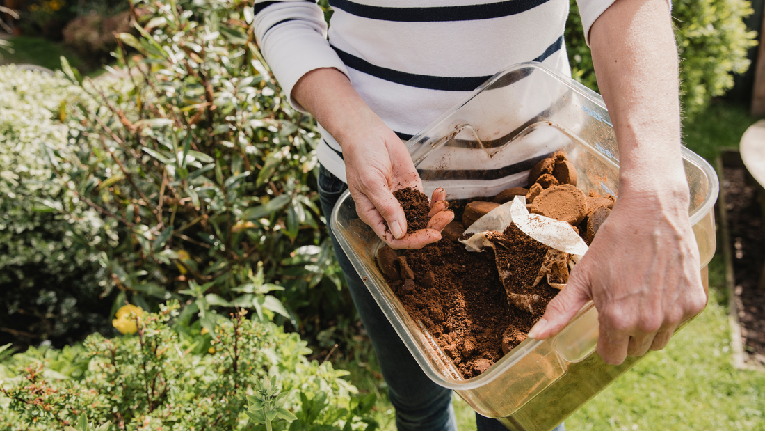 The Surprising Uses of Coffee in Gardening